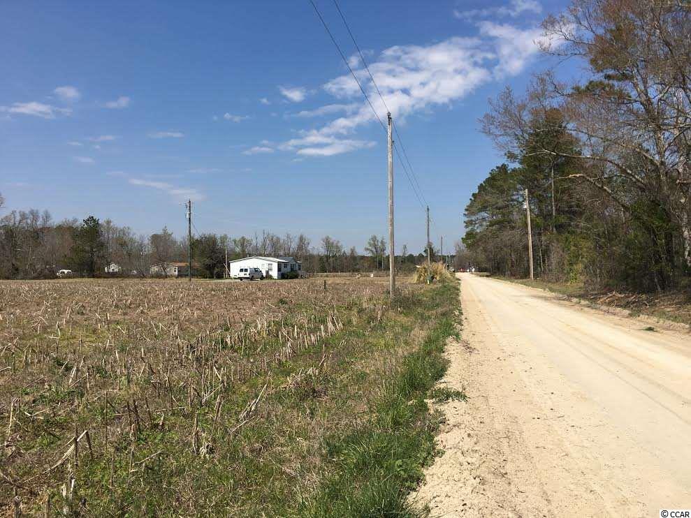 Tbd Murray Johnson Road Conway, SC 29526 - Photo 3 of 4 Gallery Image 3