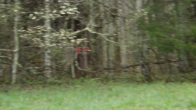 0 Denton Road Moss, TN 38575 - Photo 21 of 75 Gallery Image 21