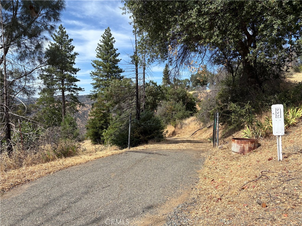 407 Simmons Road Oroville, CA 95966 - Photo 12 of 17 a view of a yard with a tree