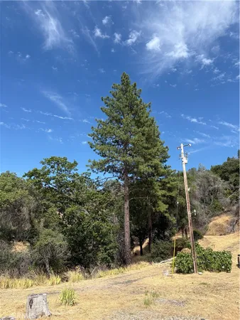 a view of a backyard of the house
