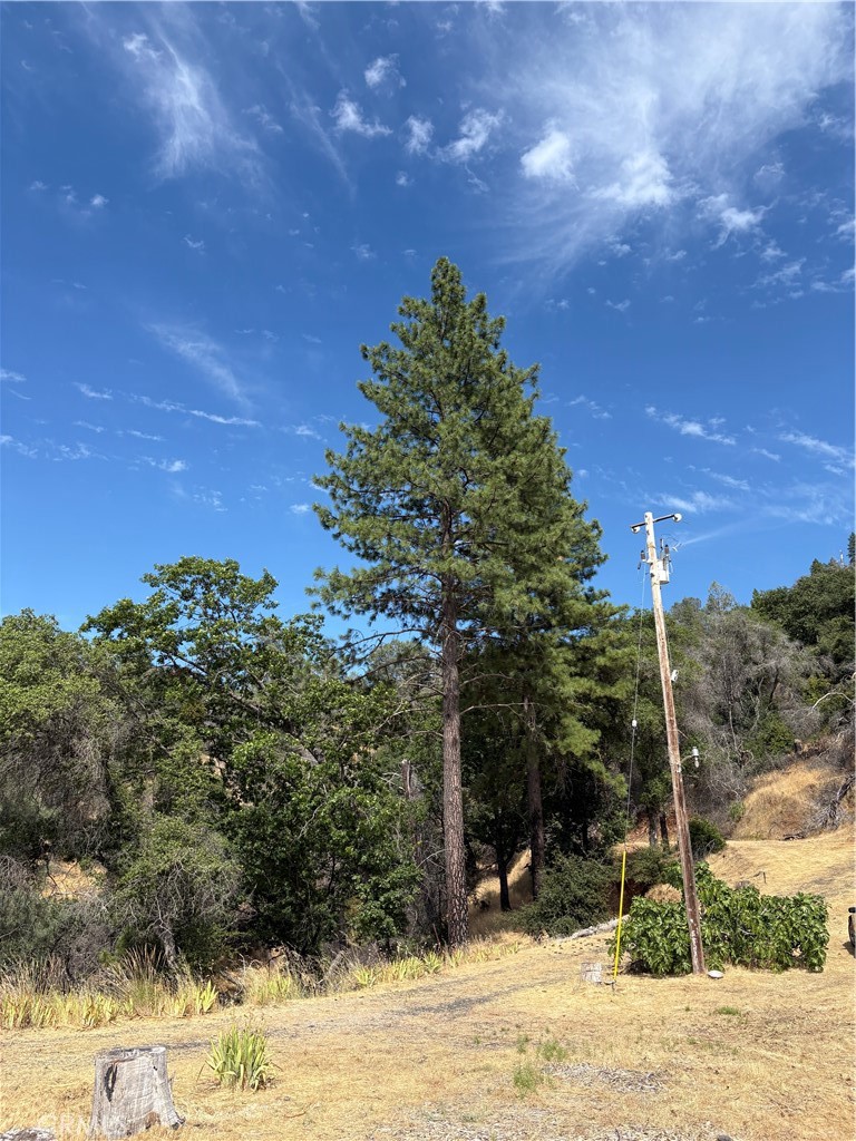 407 Simmons Road Oroville, CA 95966 - Photo 13 of 17 a view of a backyard of the house