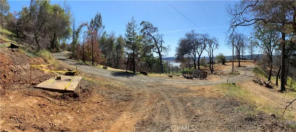a view of a yard with trees