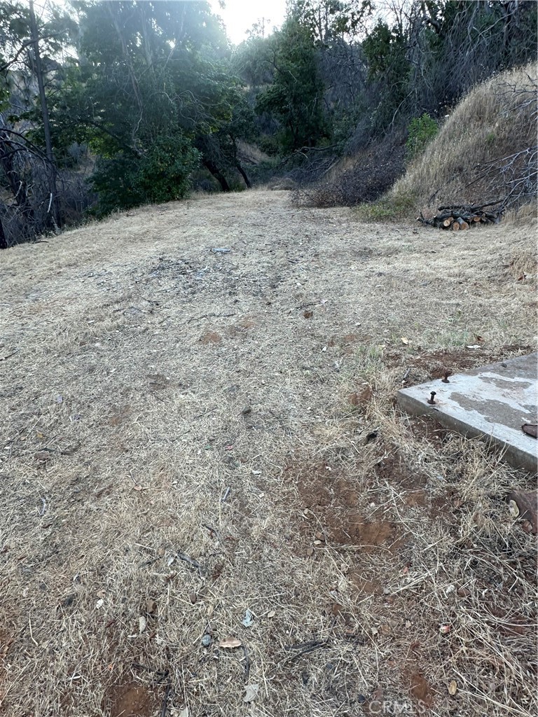407 Simmons Road Oroville, CA 95966 - Photo 16 of 17 a view of backyard with green space