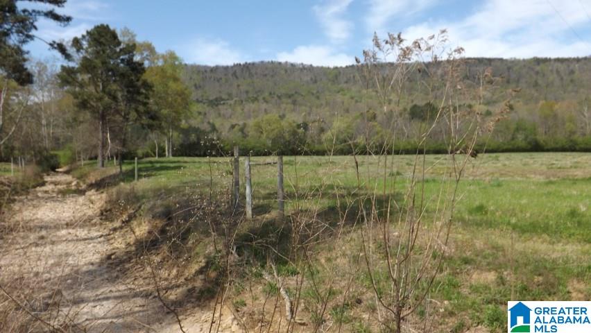 0 Gallant Road, Unit 40 Steele, AL 35987 - Photo 27 of 34 Gallery Image 27