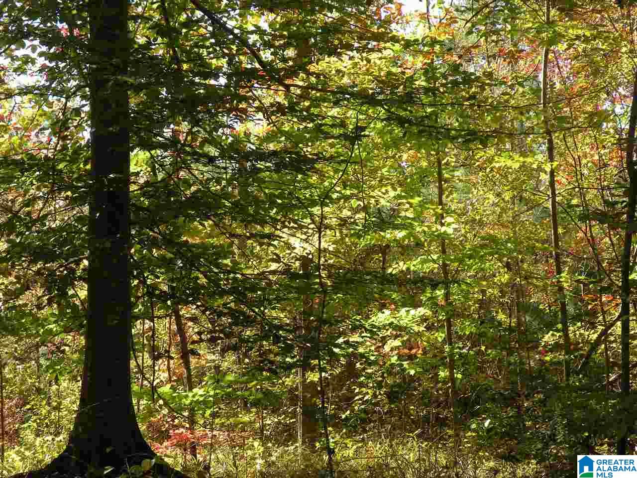 163 Thurman Road Talladega, AL 35160 - Photo 13 of 22
