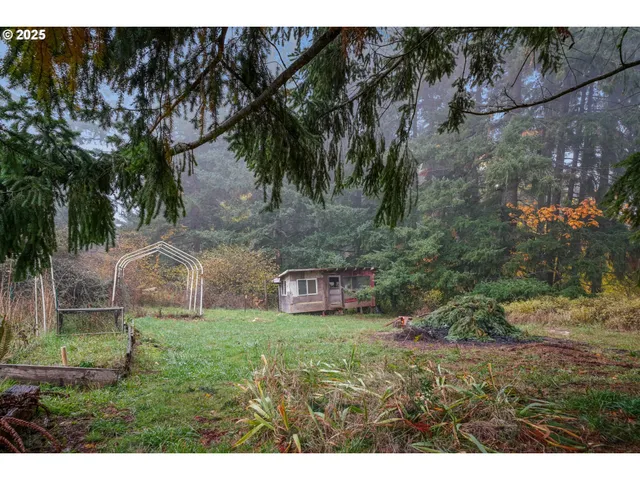 a open area with trees in the background
