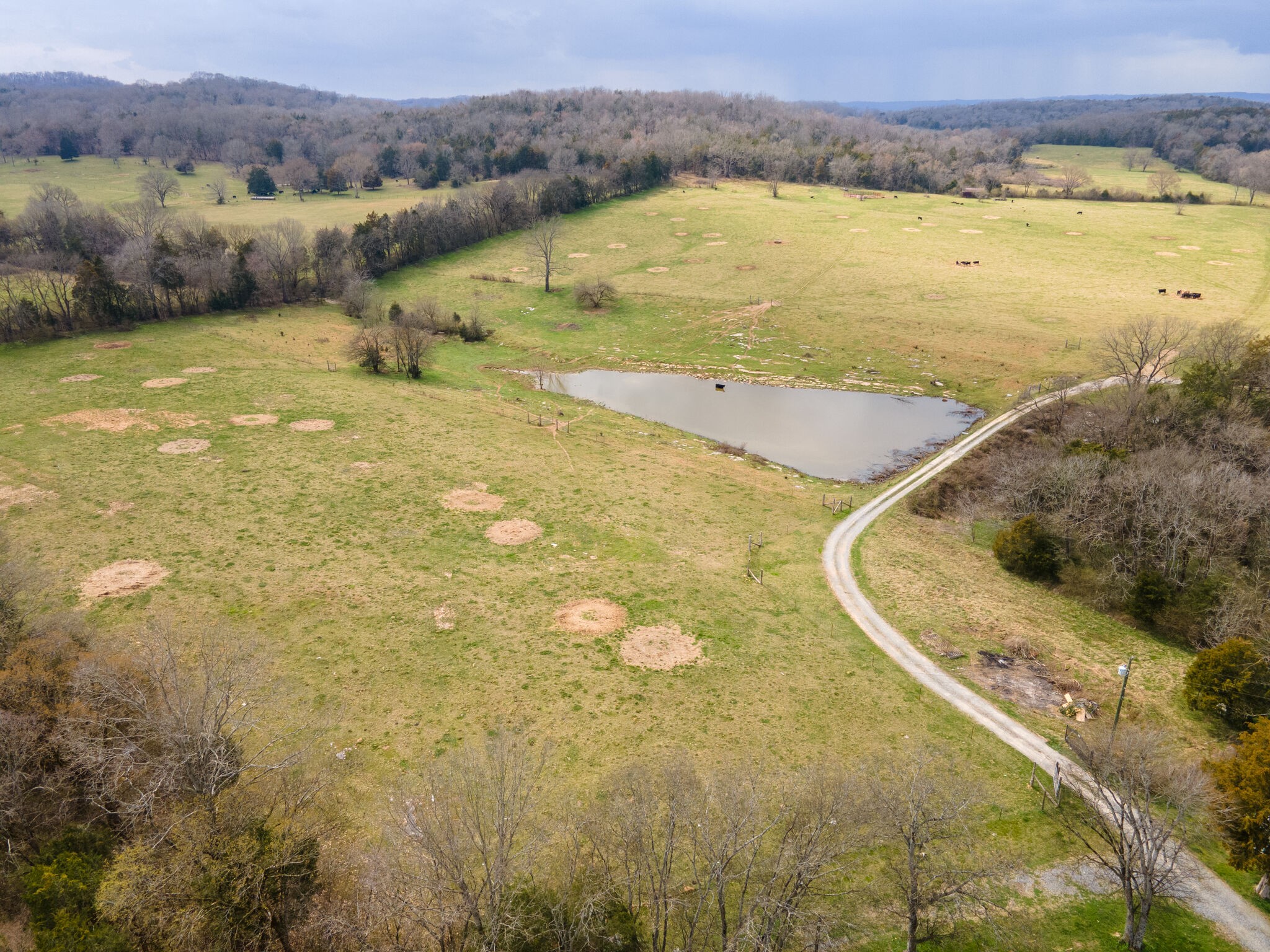 247 John Sugg Road Fayetteville, TN 37334 - Photo 2 of 46 Gallery Image 2