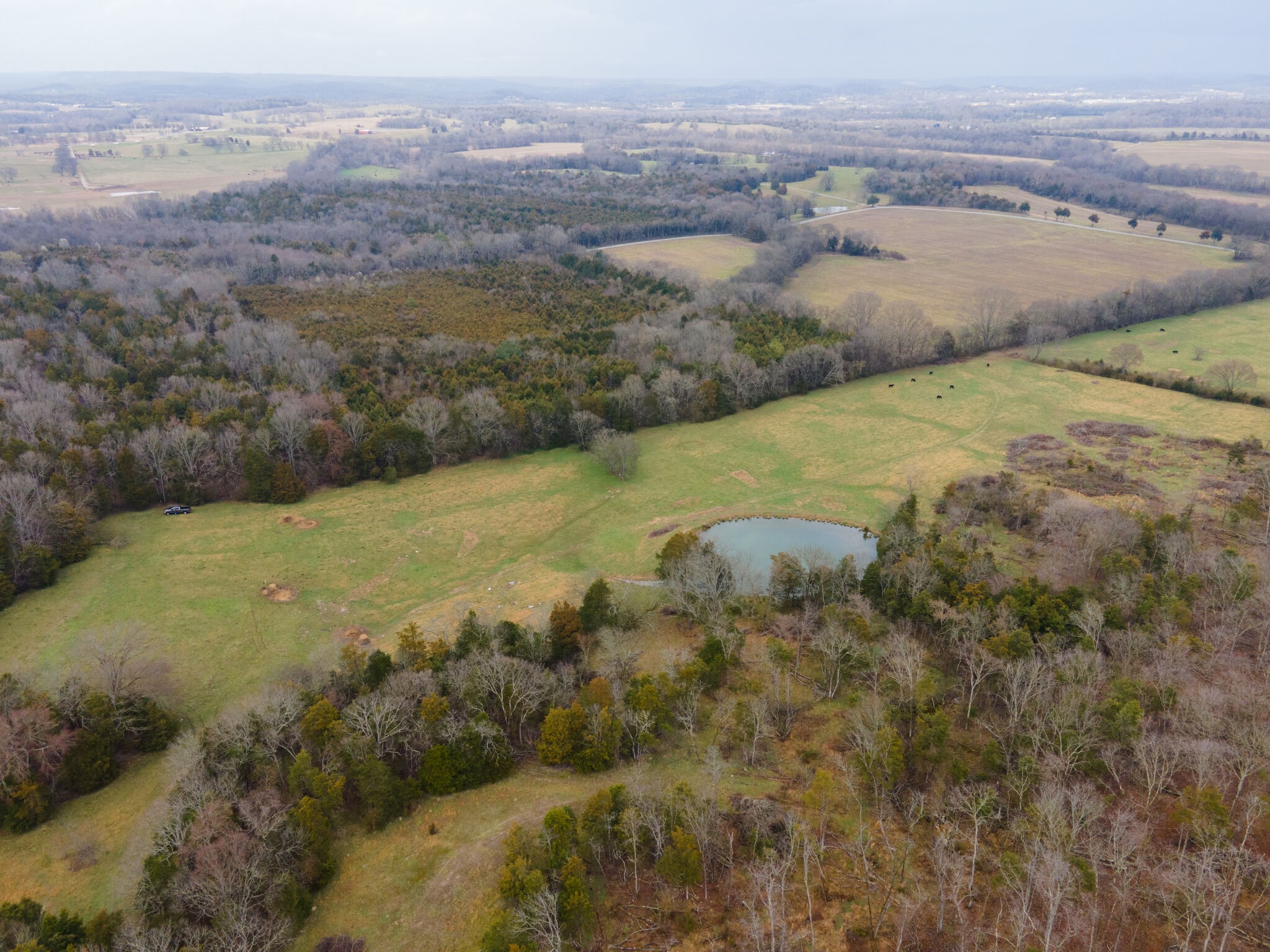 247 John Sugg Road Fayetteville, TN 37334 - Photo 11 of 46 Gallery Image 11