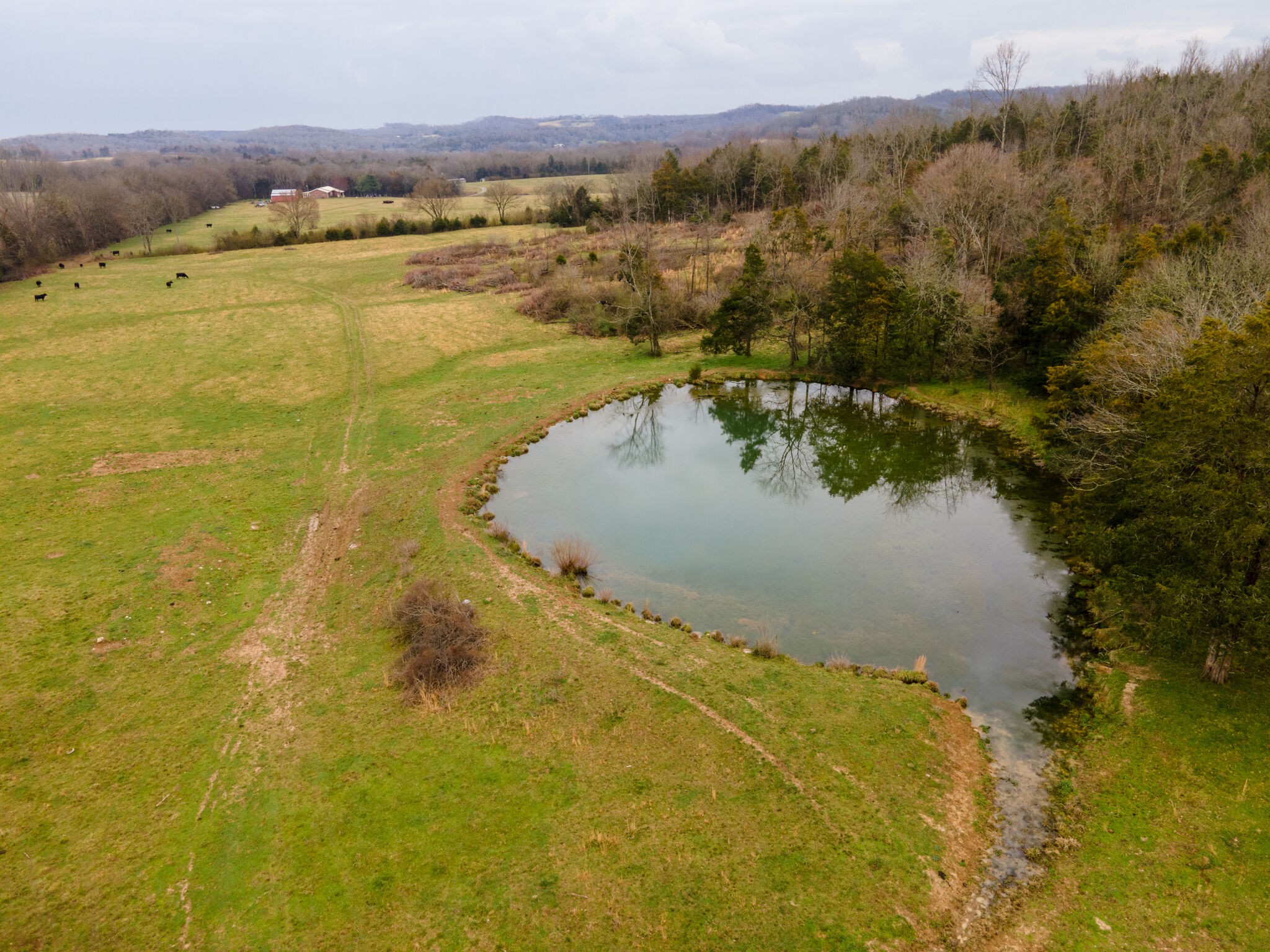 247 John Sugg Road Fayetteville, TN 37334 - Photo 15 of 46 Gallery Image 15