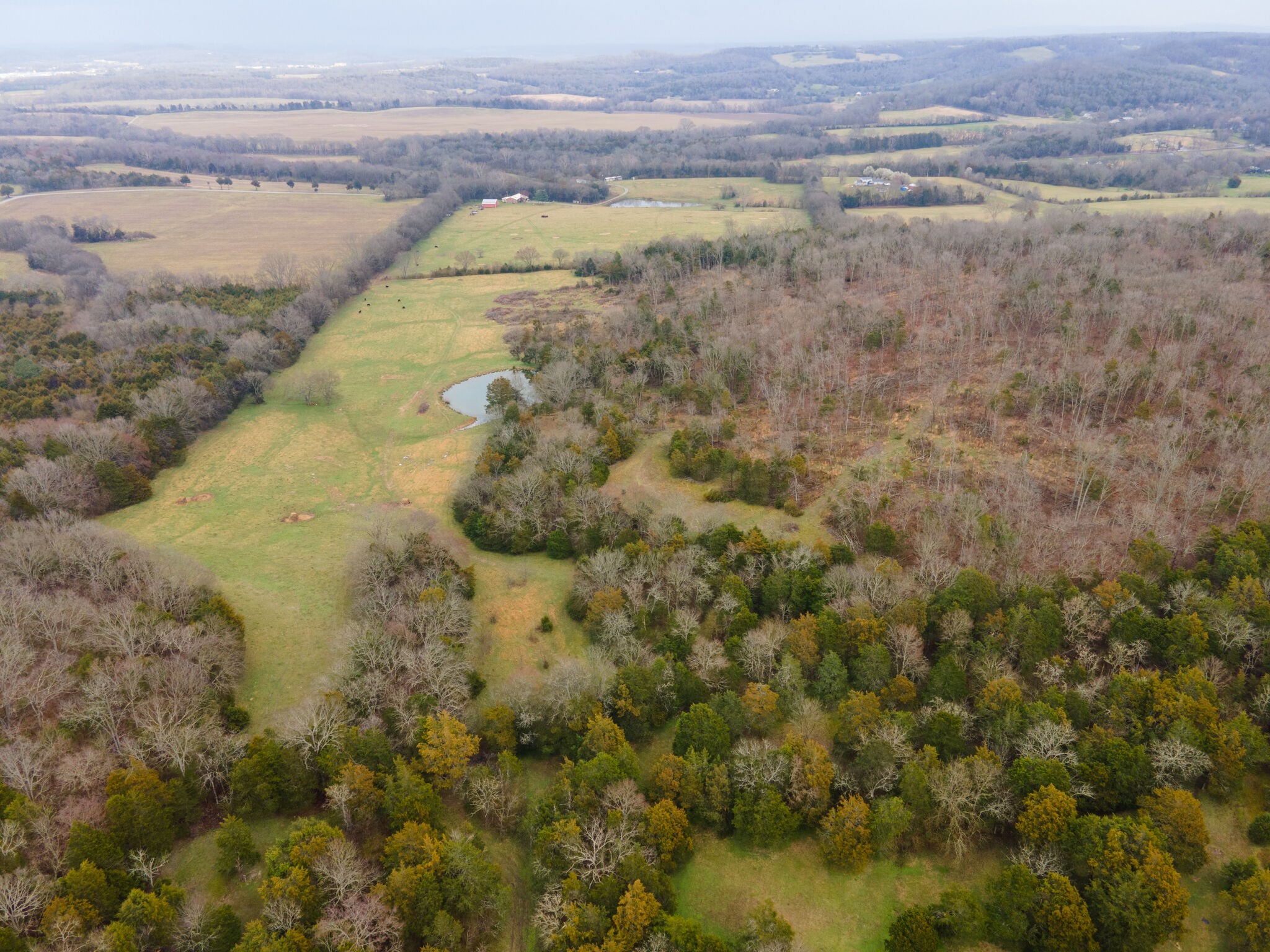 247 John Sugg Road Fayetteville, TN 37334 - Photo 17 of 46 Gallery Image 17