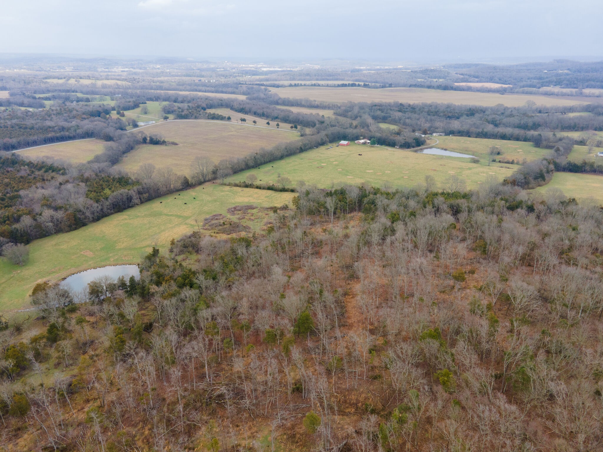 247 John Sugg Road Fayetteville, TN 37334 - Photo 18 of 46 Gallery Image 18