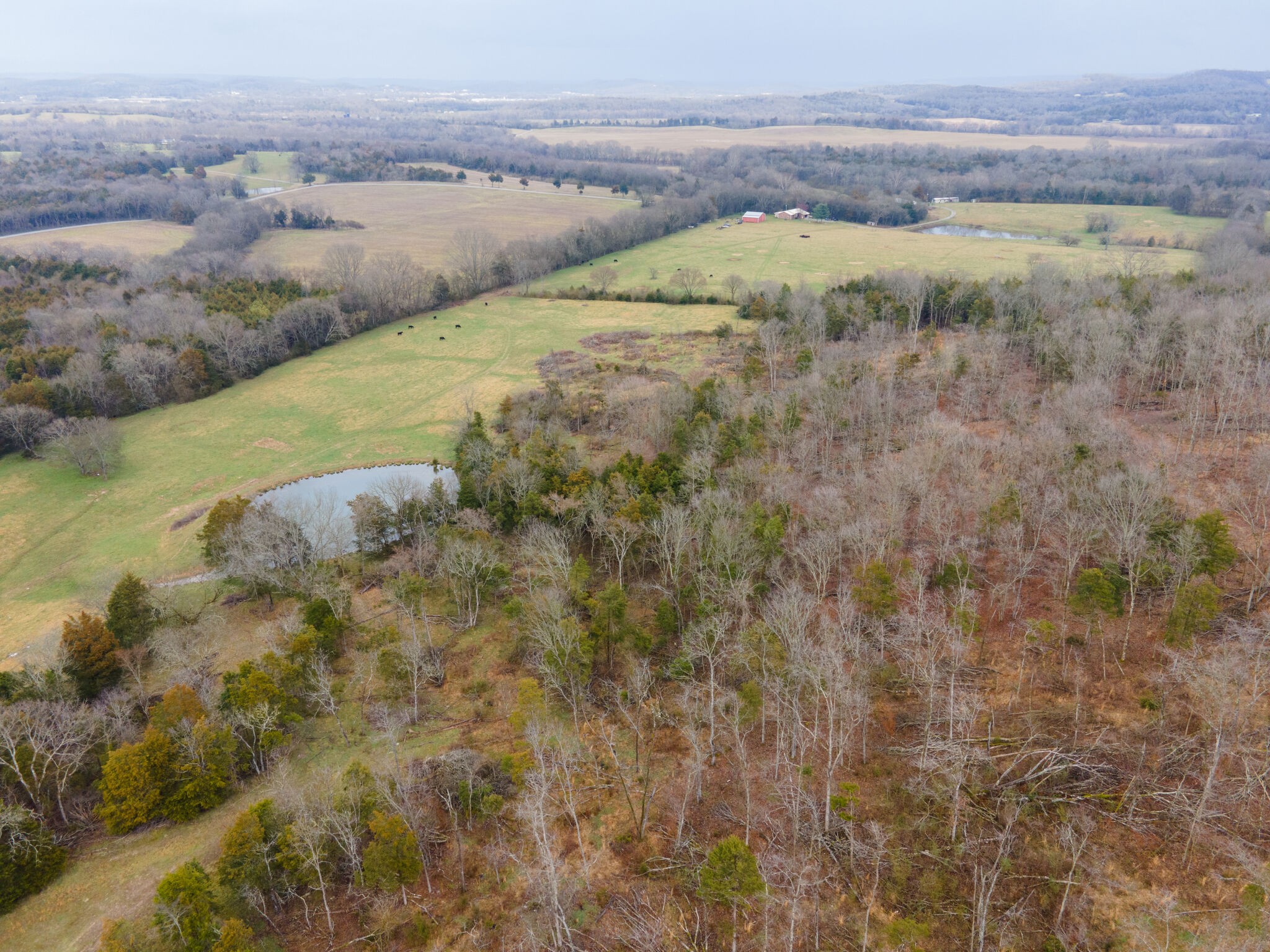 247 John Sugg Road Fayetteville, TN 37334 - Photo 19 of 46 Gallery Image 19