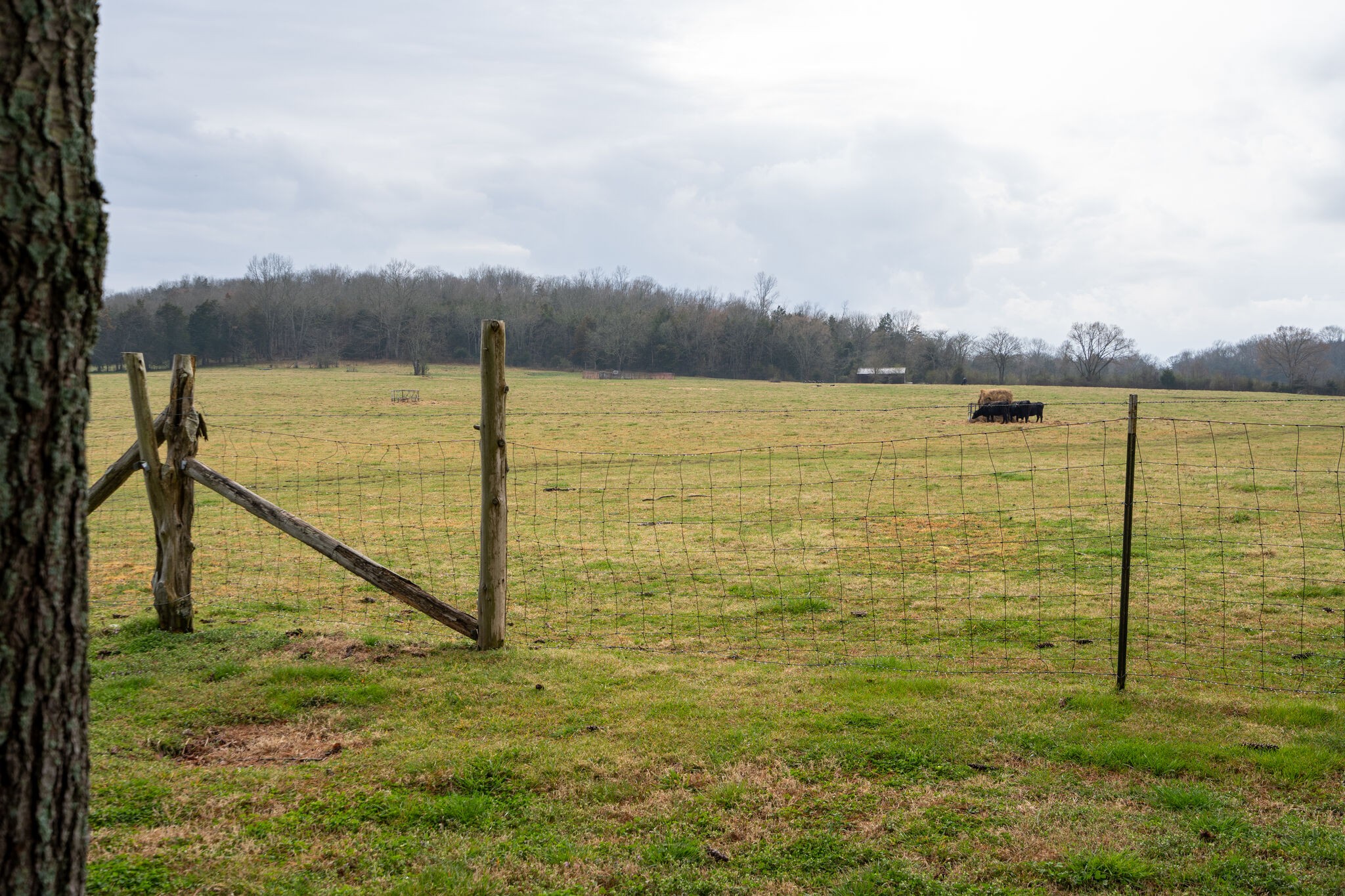 247 John Sugg Road Fayetteville, TN 37334 - Photo 23 of 46 Gallery Image 23