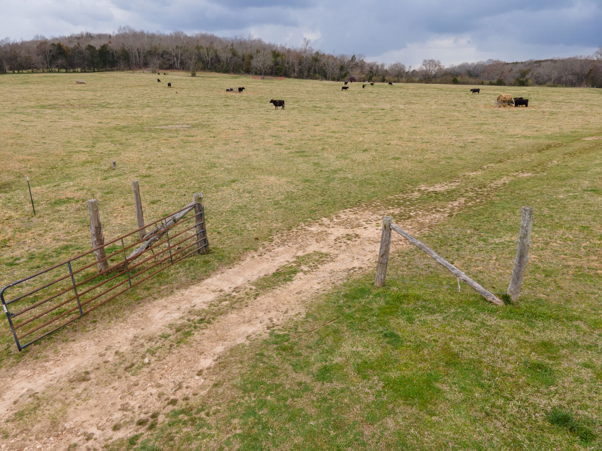 247 John Sugg Road Fayetteville, TN 37334 - Photo 24 of 46 Gallery Image 24