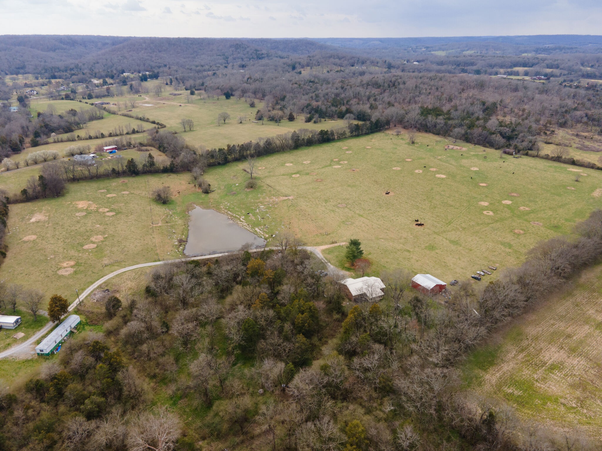 247 John Sugg Road Fayetteville, TN 37334 - Photo 4 of 46 Gallery Image 4