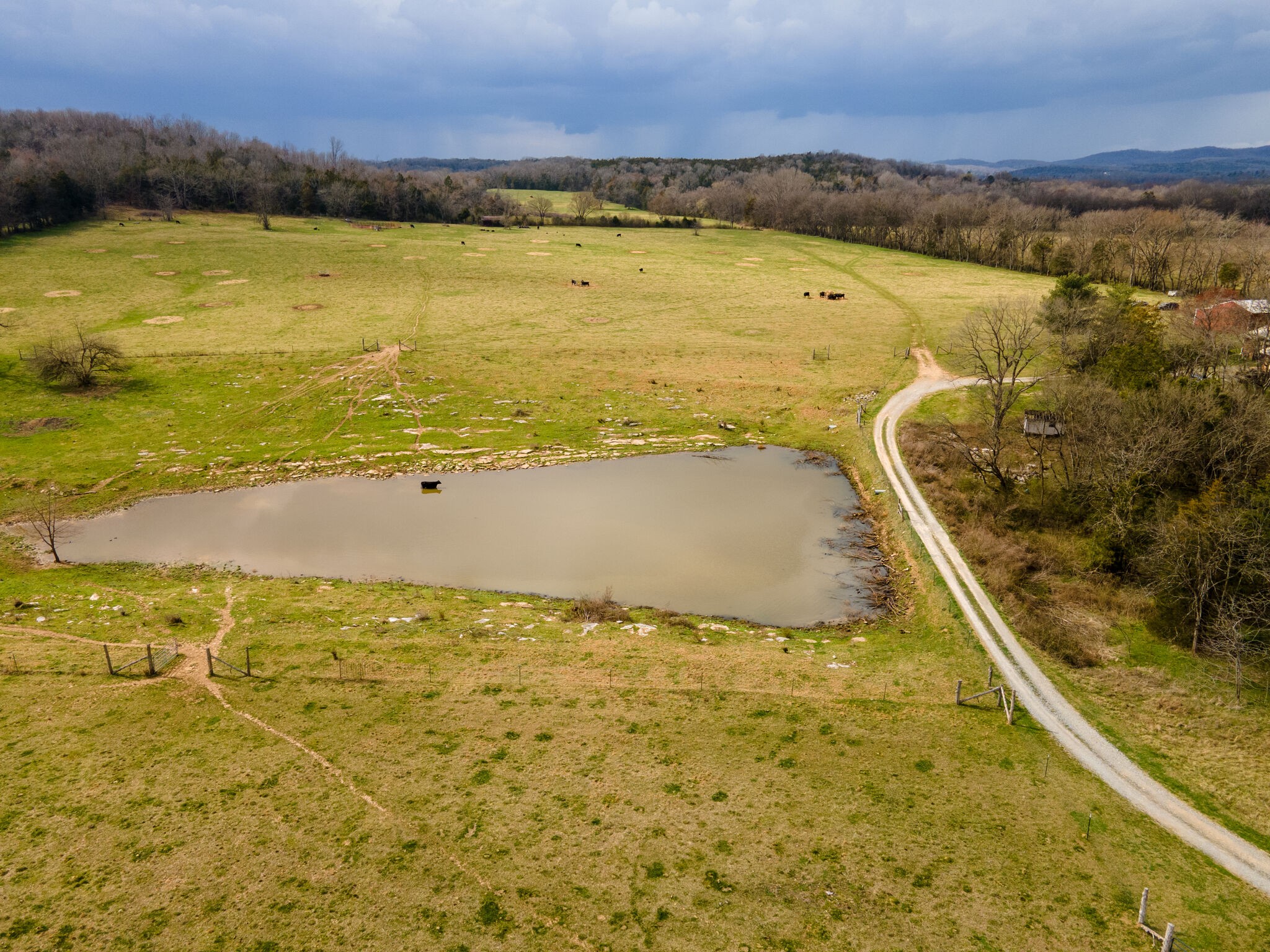247 John Sugg Road Fayetteville, TN 37334 - Photo 5 of 46 Gallery Image 5
