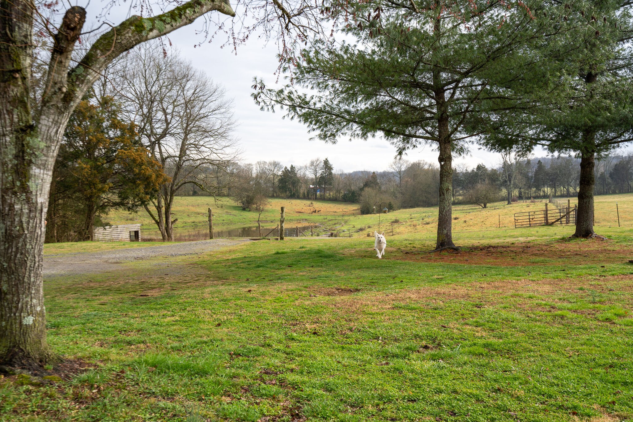 247 John Sugg Road Fayetteville, TN 37334 - Photo 45 of 46 Gallery Image 45