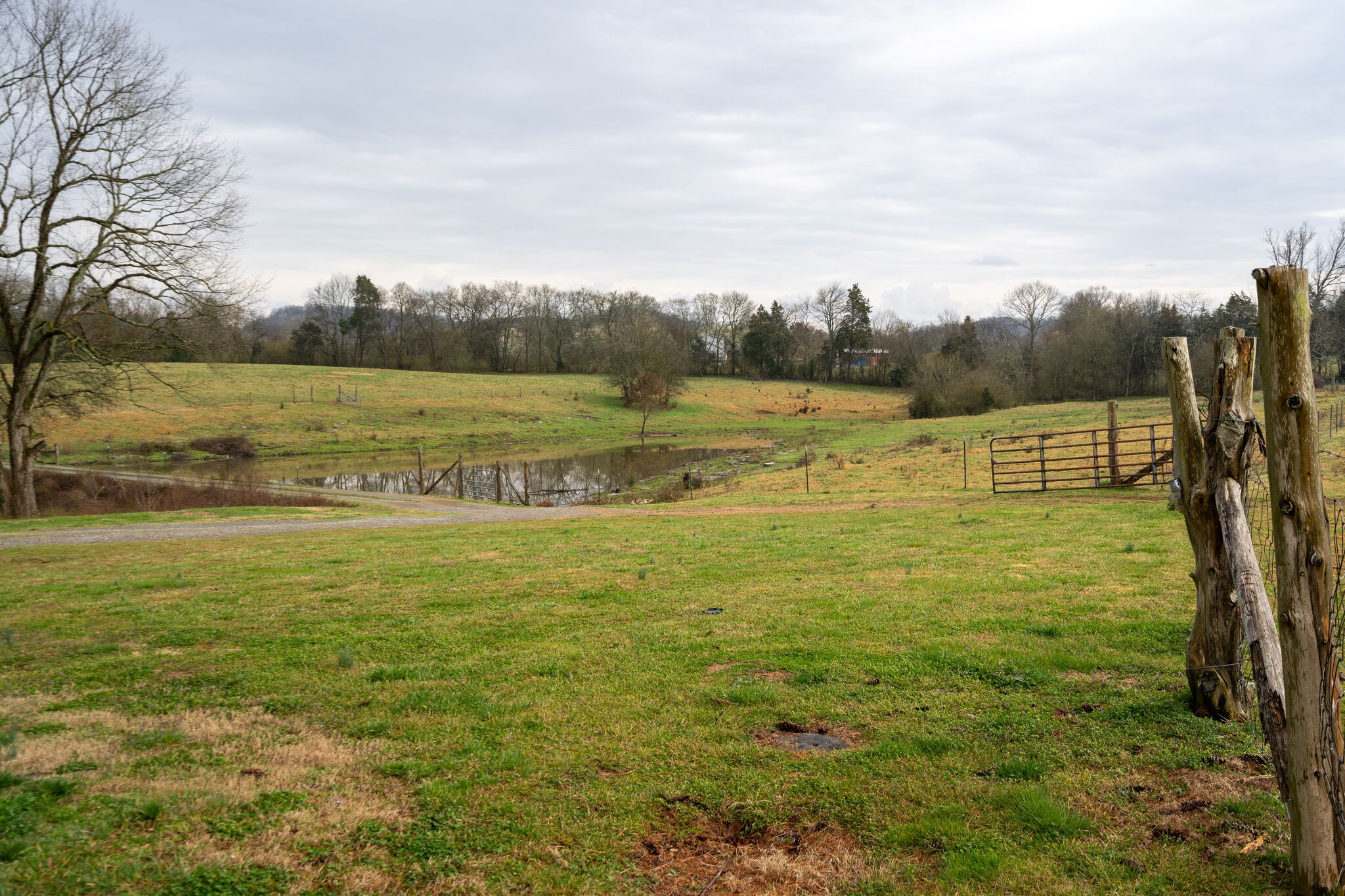 247 John Sugg Road Fayetteville, TN 37334 - Photo 46 of 46 Gallery Image 46