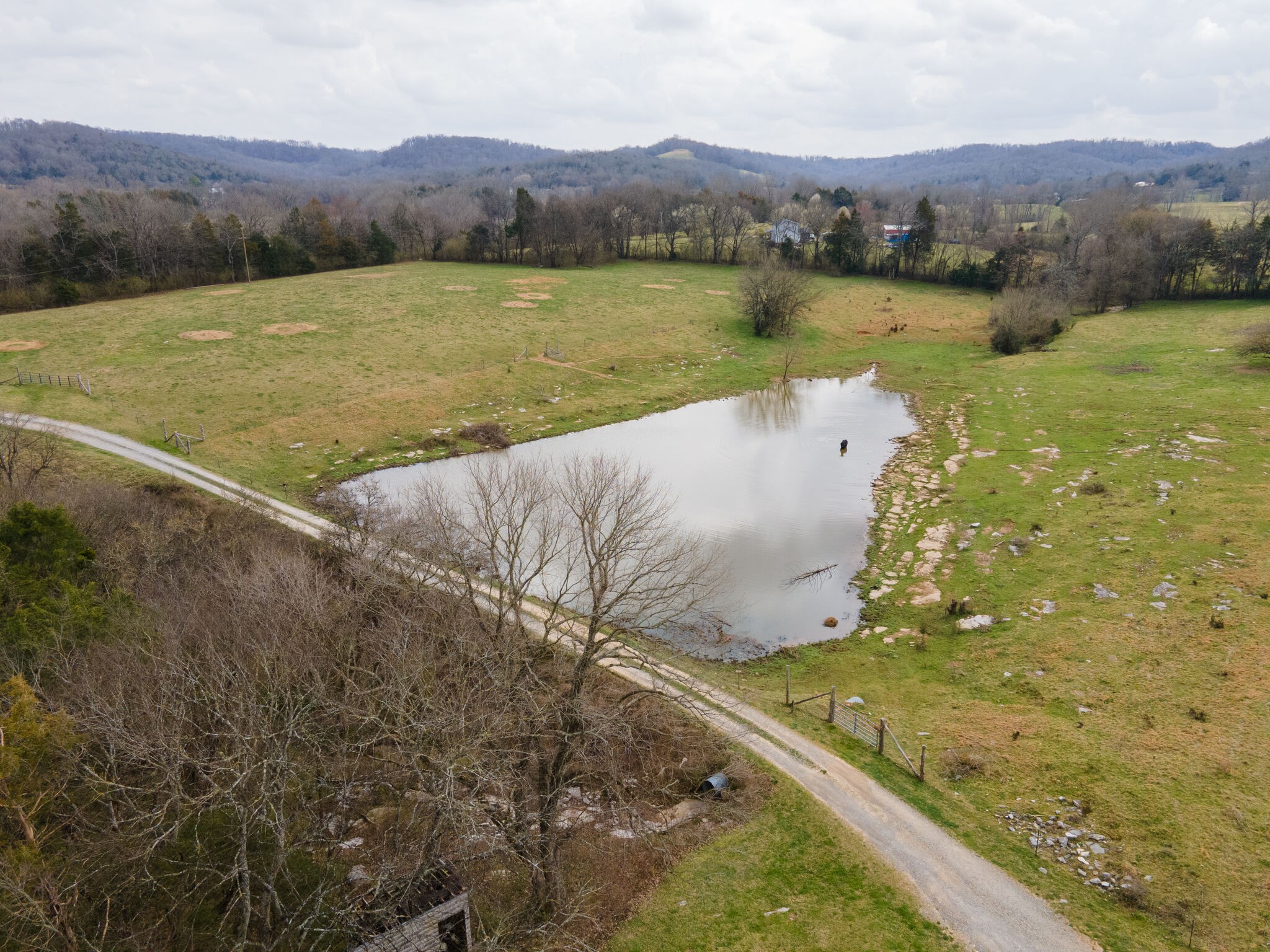 247 John Sugg Road Fayetteville, TN 37334 - Photo 6 of 46 Gallery Image 6