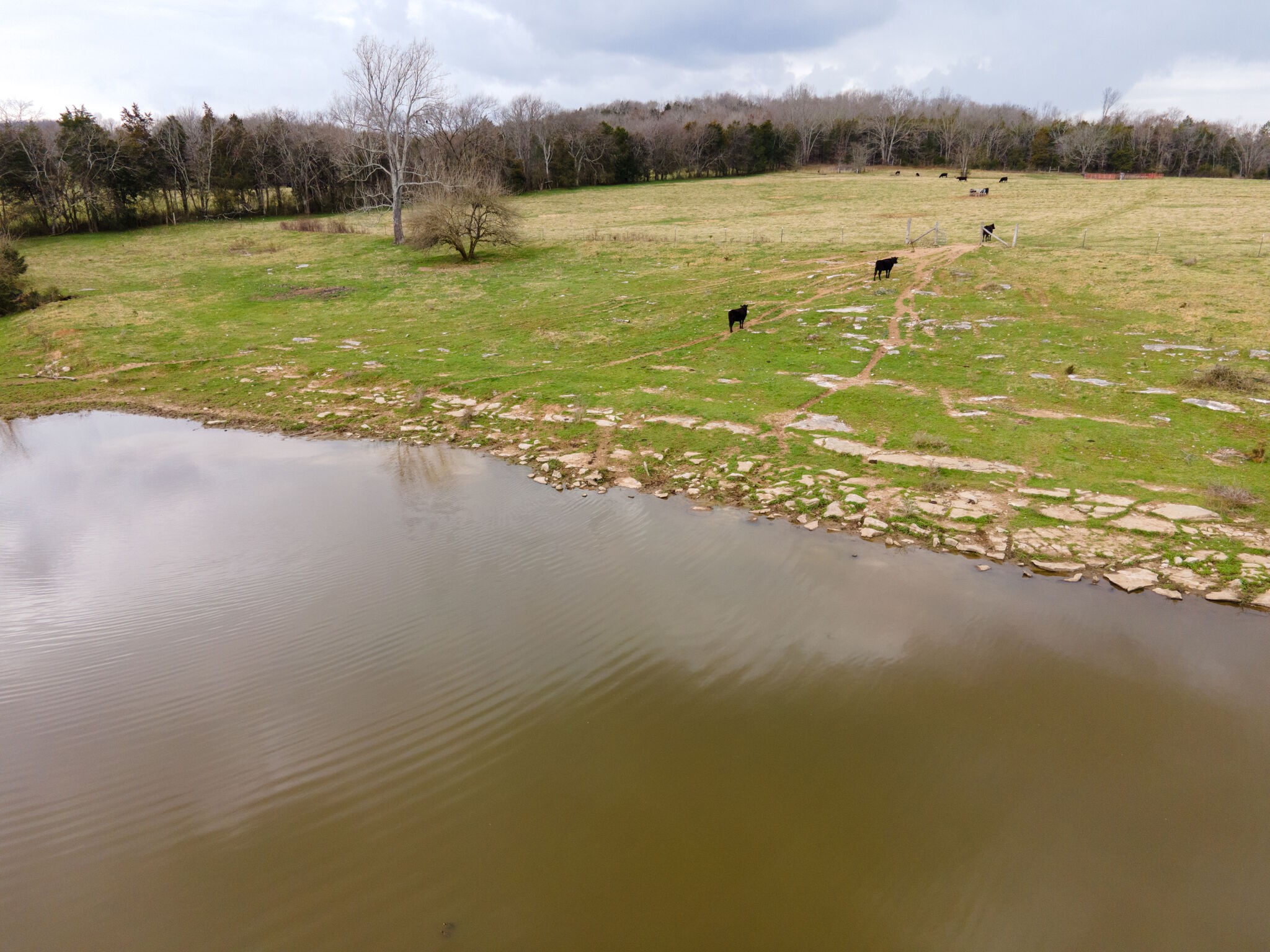 247 John Sugg Road Fayetteville, TN 37334 - Photo 7 of 46 Gallery Image 7