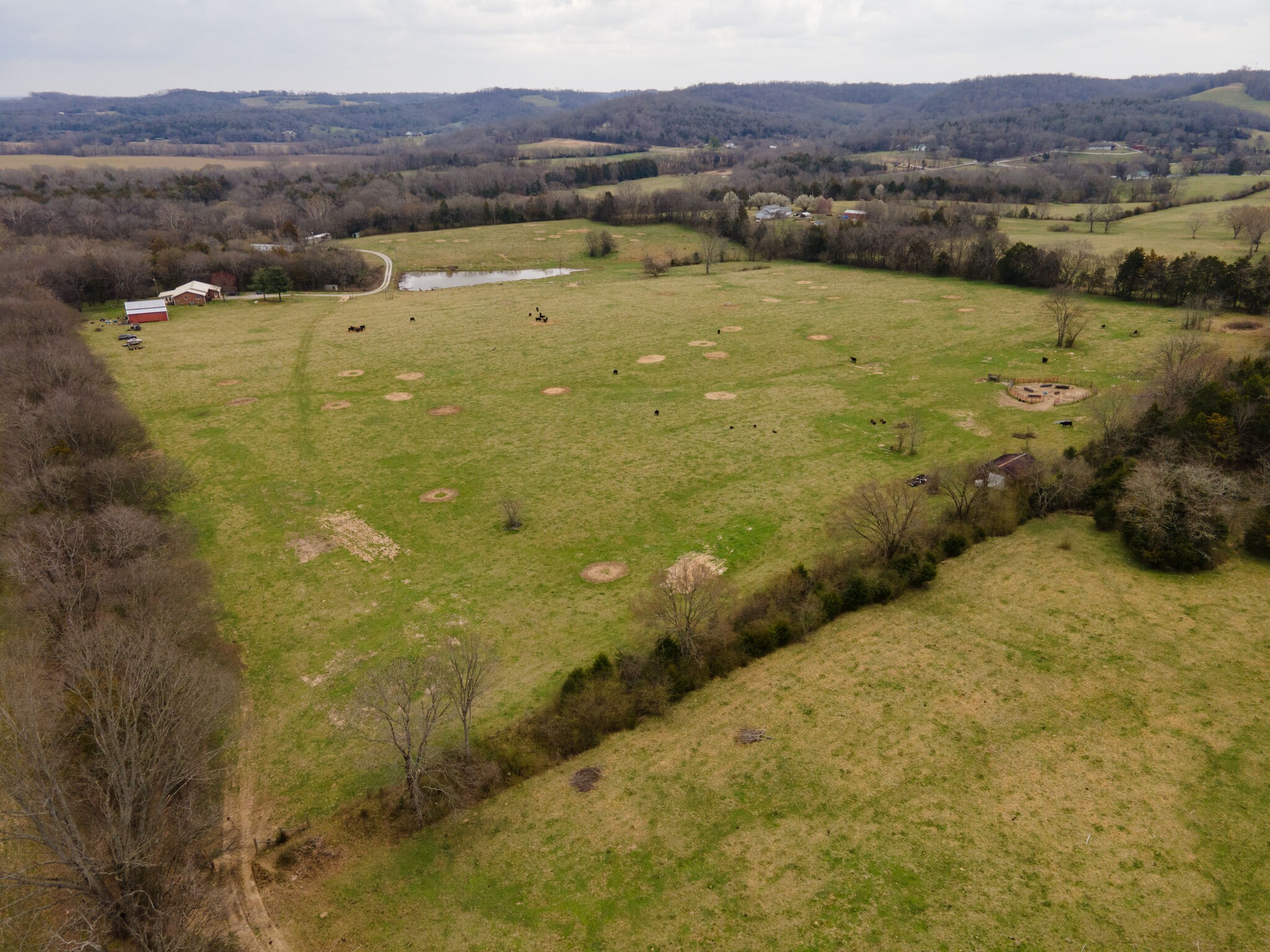 247 John Sugg Road Fayetteville, TN 37334 - Photo 8 of 46 Gallery Image 8