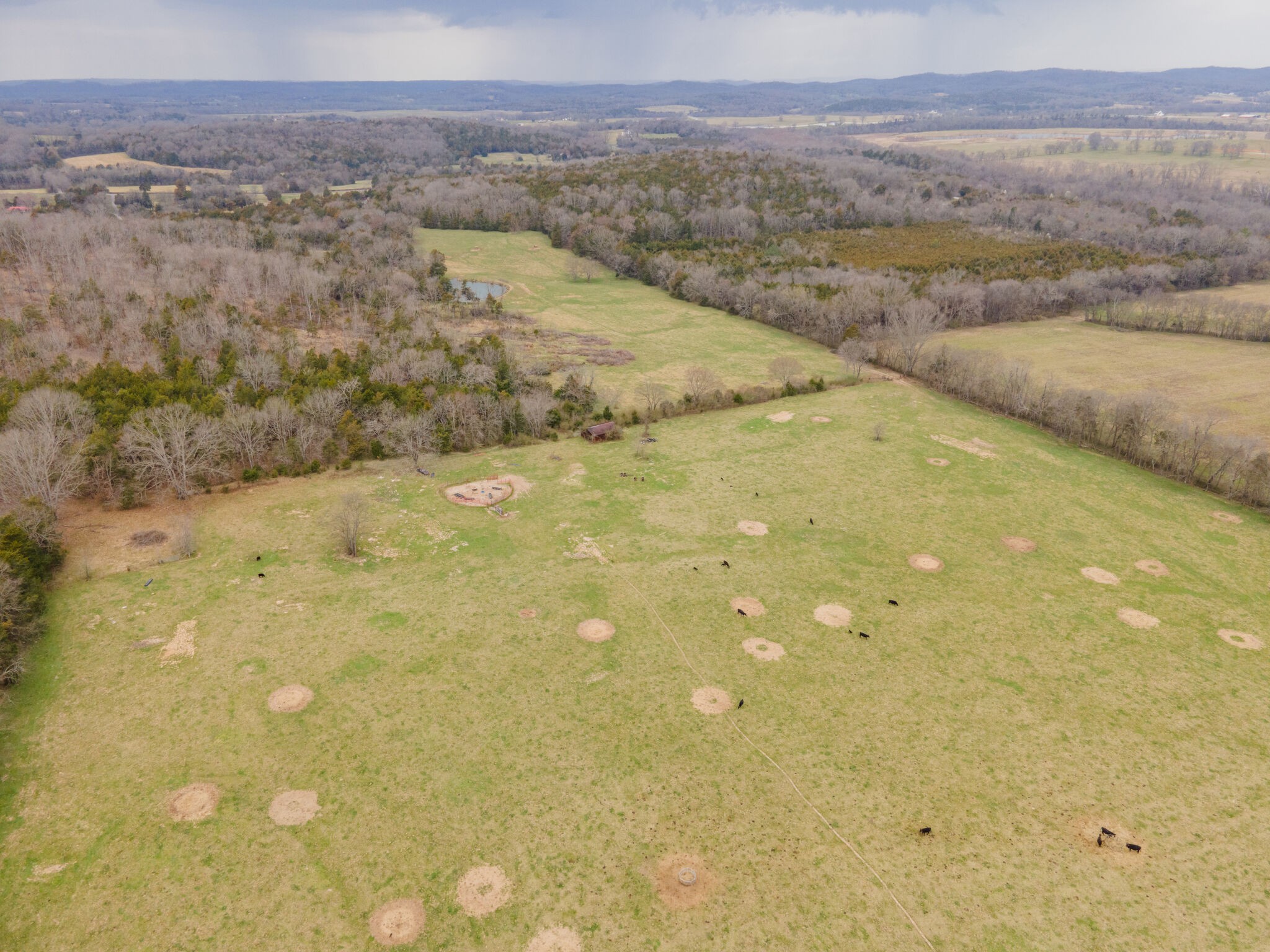 247 John Sugg Road Fayetteville, TN 37334 - Photo 10 of 46 Gallery Image 10