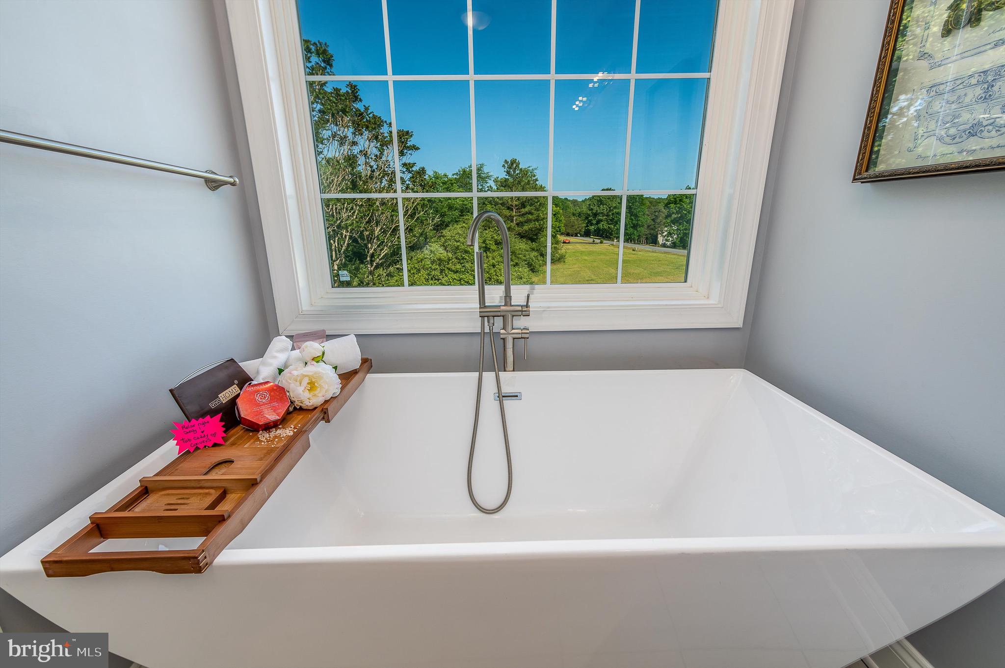 365 Prado Way Berkeley Springs, WV 25411 - Photo 31 of 60 Owner suite/bath