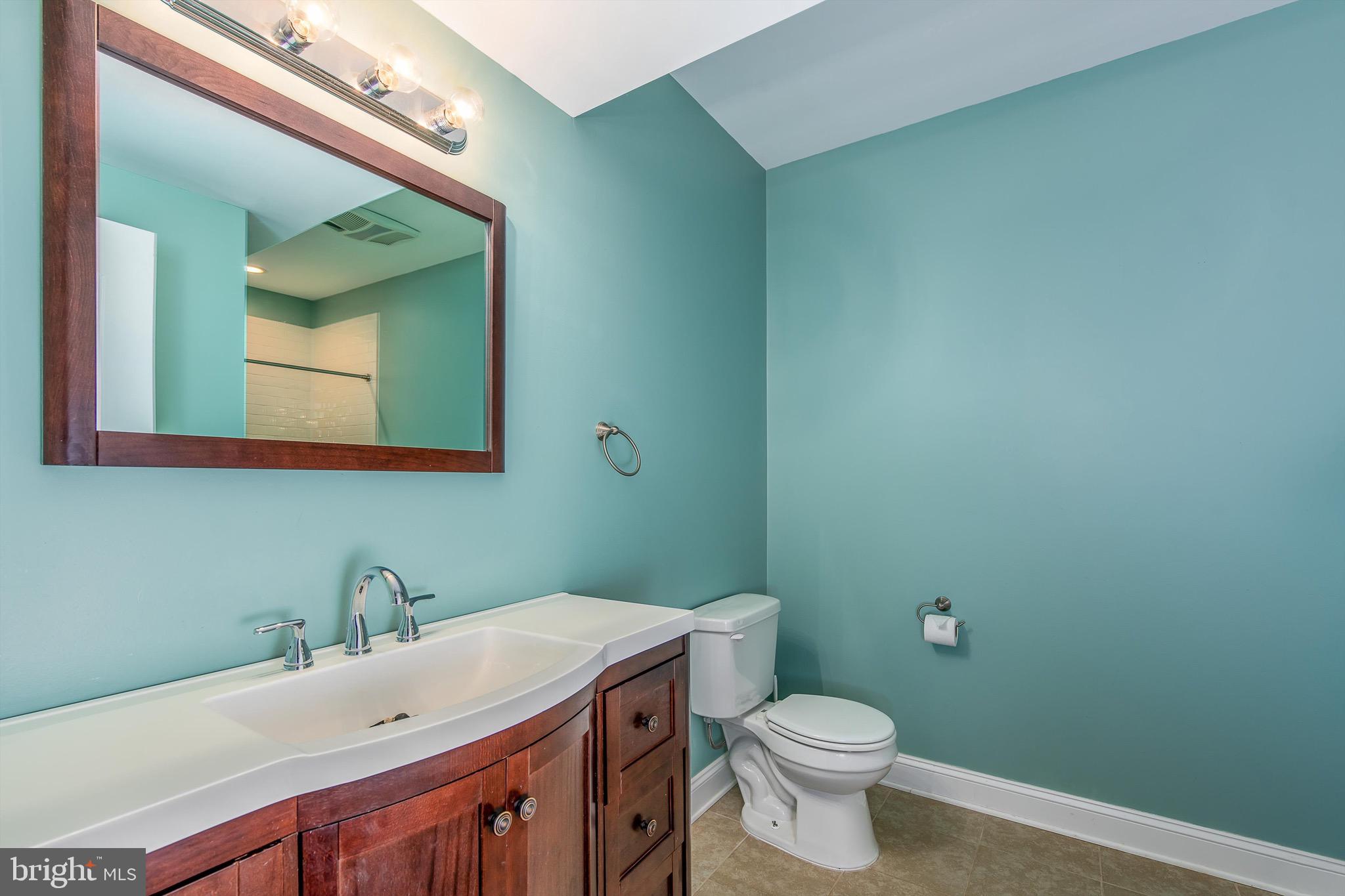 365 Prado Way Berkeley Springs, WV 25411 - Photo 45 of 60 Lower level bath/in-law suite