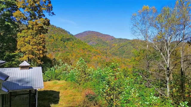 a view of a large trees