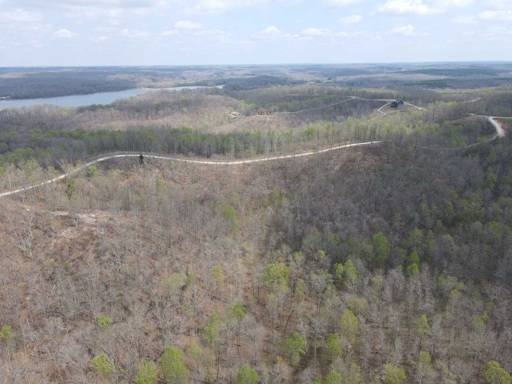 18 Lake Ridge Drive Stewart, TN 37175 - Photo 11 of 14 a view of a dry yard with trees