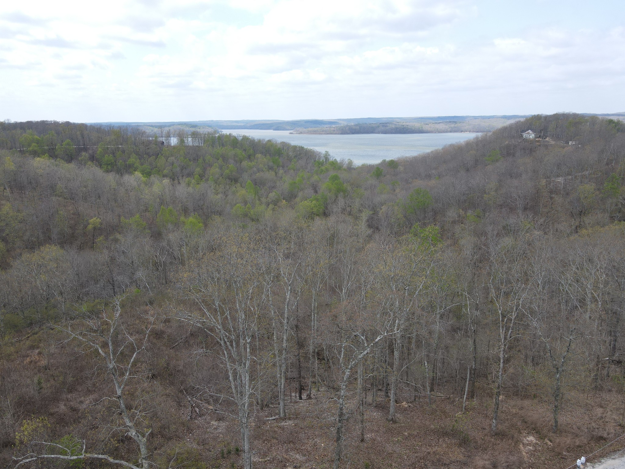 18 Lake Ridge Drive Stewart, TN 37175 - Photo 6 of 14 a view of a dry yard with mountains in the background