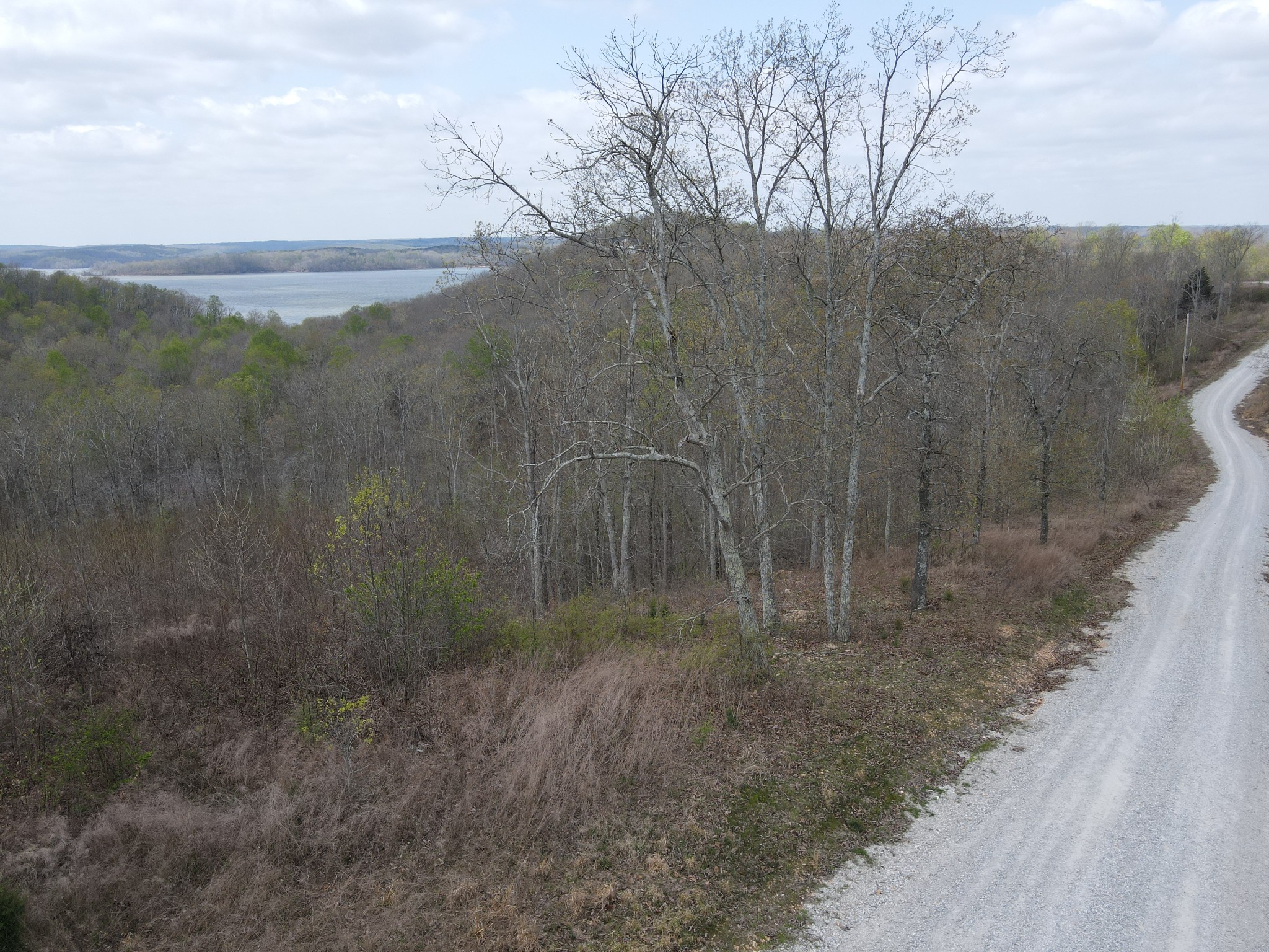 18 Lake Ridge Drive Stewart, TN 37175 - Photo 7 of 14 a view of a dry yard with trees in the background
