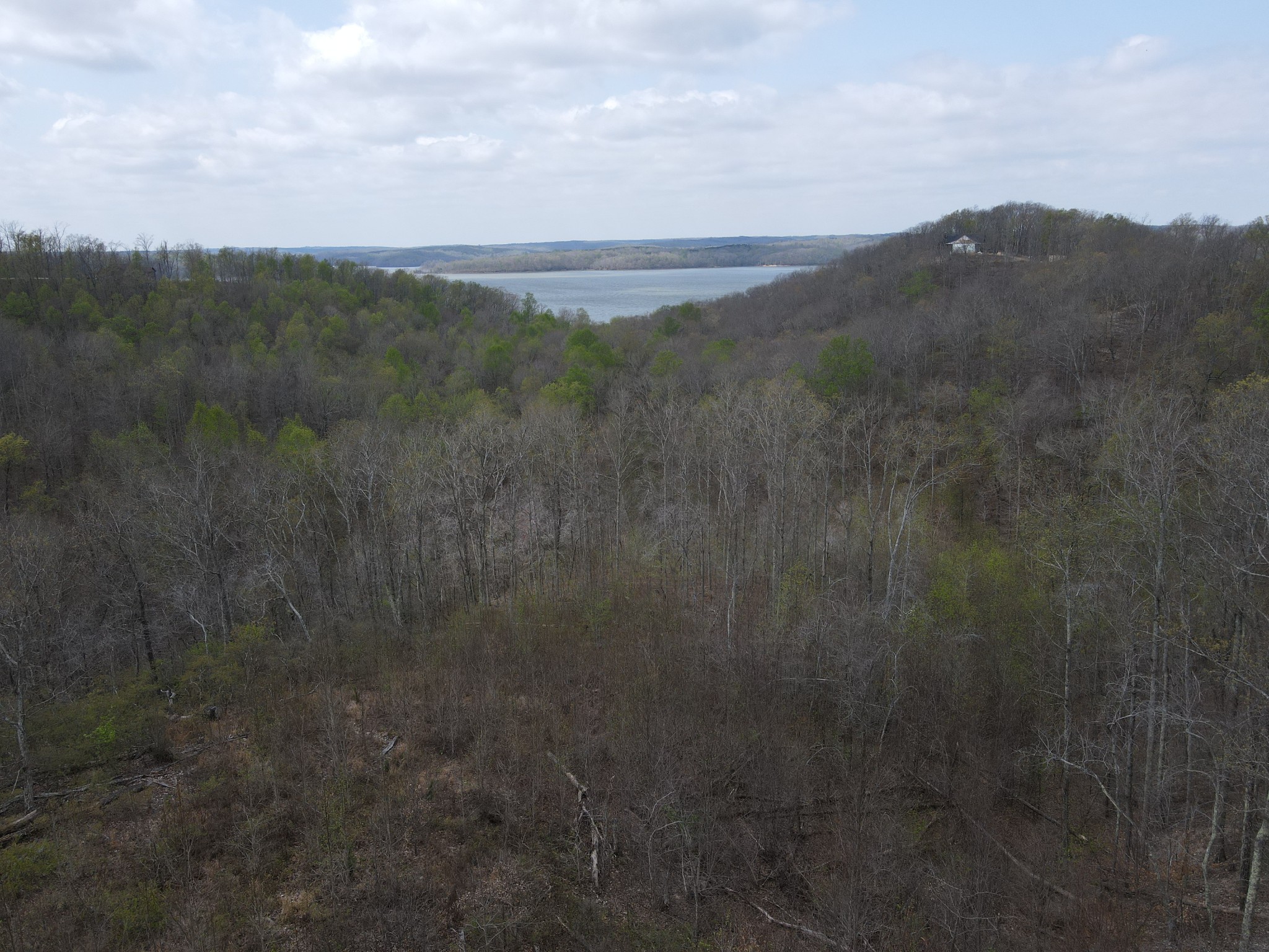 18 Lake Ridge Drive Stewart, TN 37175 - Photo 8 of 14 a view of a yard in a field
