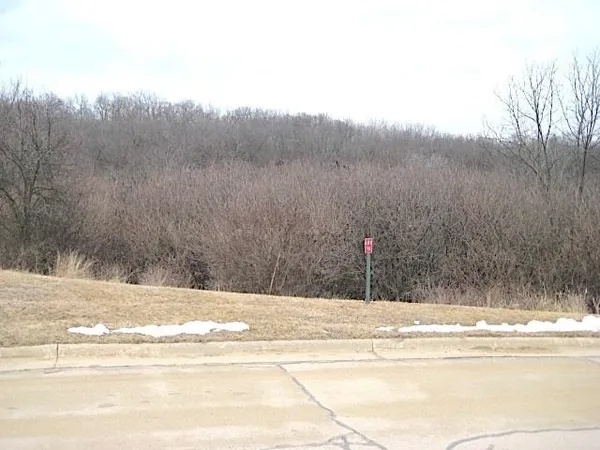 $13,000 | Lot 16 Ohmer Ridge Subdivision, McGregor, IA 52157
