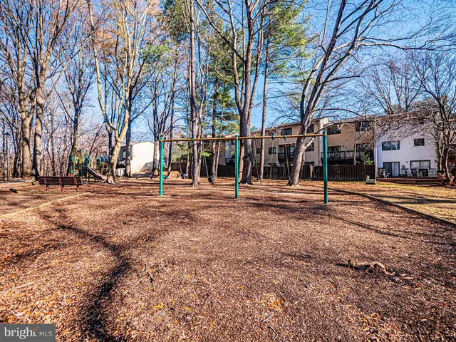 a view of a yard with trees