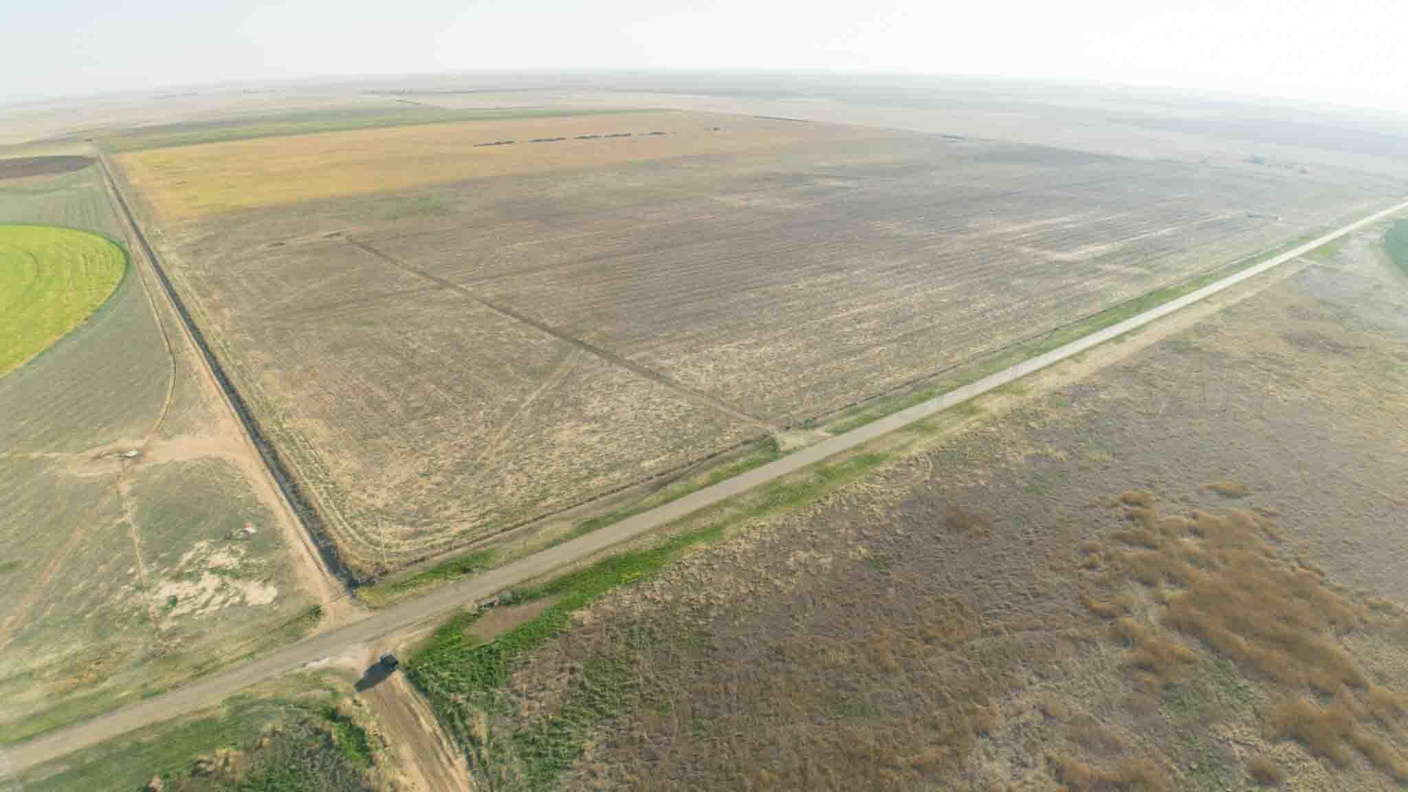 Baskin Ranch Stratford, TX 79084 - Photo 23 of 81 Baskin_Ranch-37