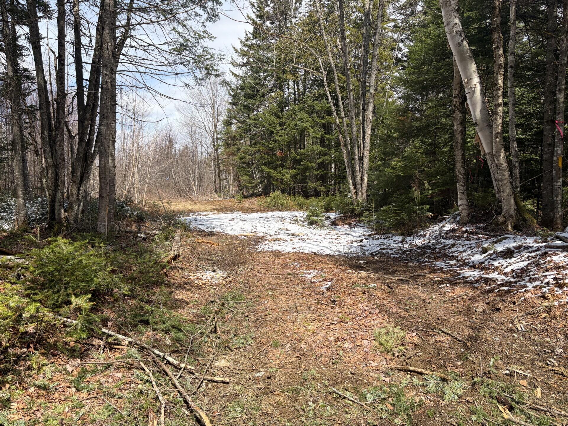 339 Long Pond Road Jackman, ME 04945 - Photo 6 of 9 9848ef93-67e9-4bbd-b8e9-fb2a3ae044bb