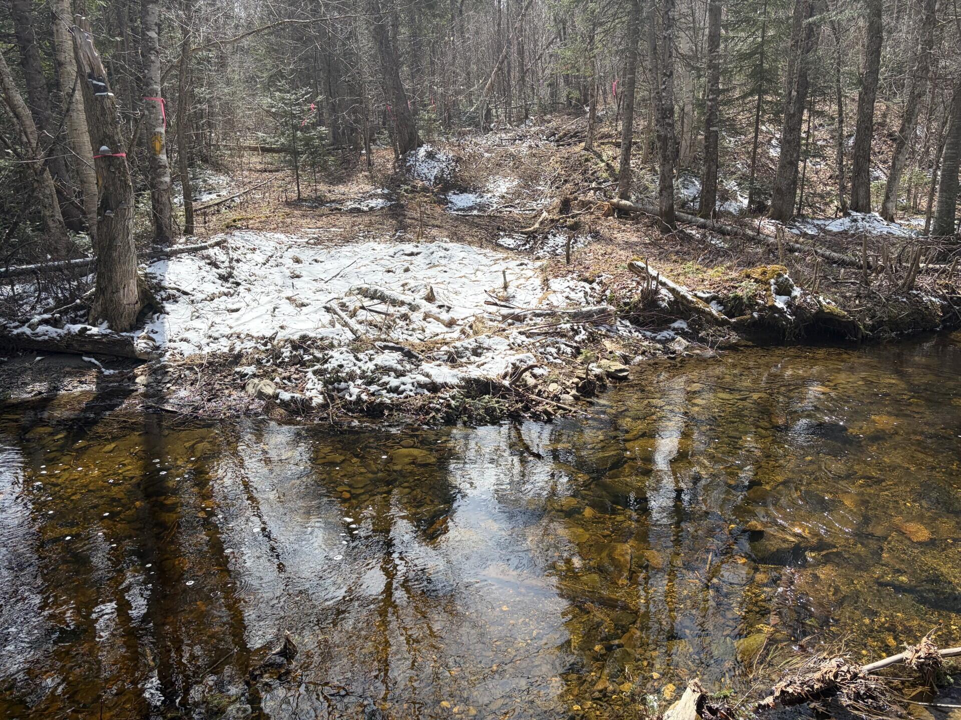 339 Long Pond Road Jackman, ME 04945 - Photo 7 of 9 ec24ab57-2df8-485c-bb79-afcde017282d