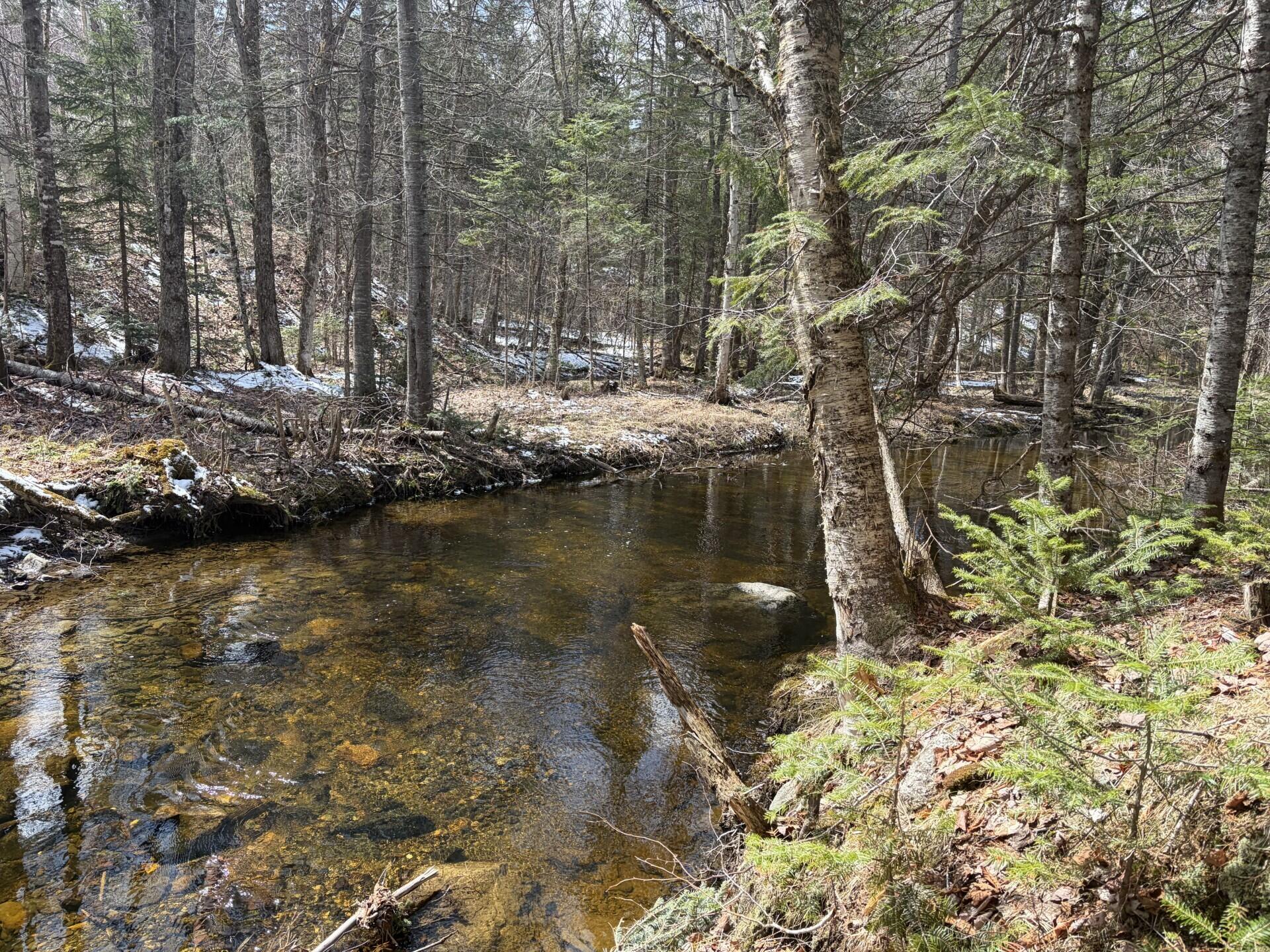 339 Long Pond Road Jackman, ME 04945 - Photo 8 of 9 a6e603a7-151b-4ff8-81b5-86122ab699fc