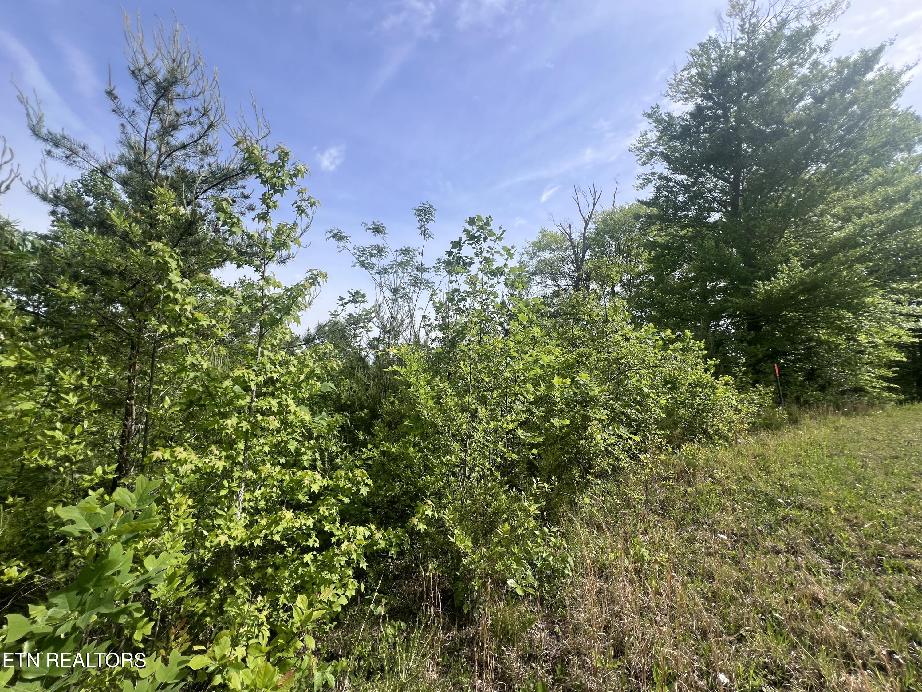 Big Hollow Road Monroe, TN 38573 - Photo 6 of 12 IMG_8094