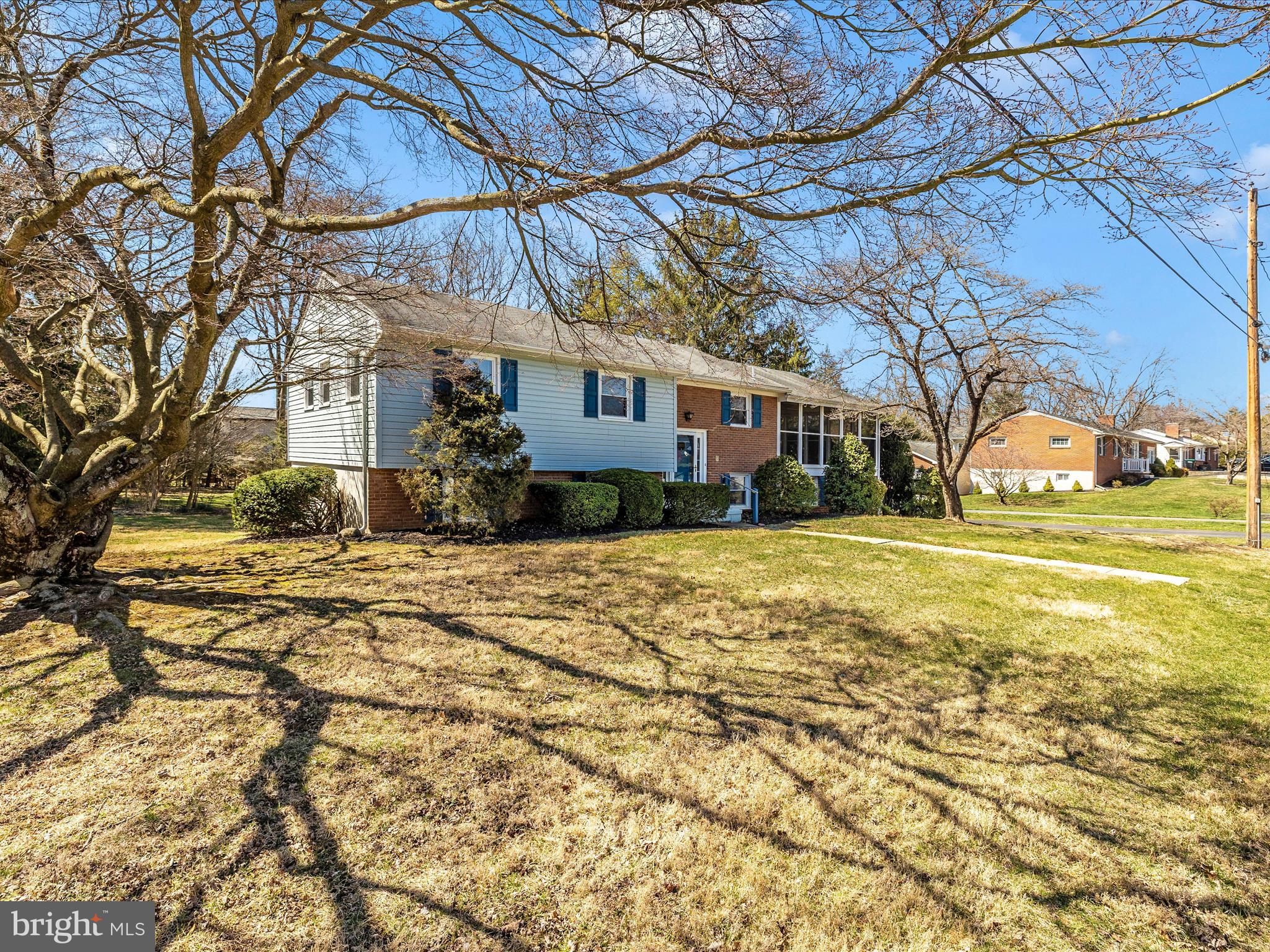 20731 Emerald Drive Hagerstown, MD 21742 - Photo 43 of 54 a view of large yard with large tree