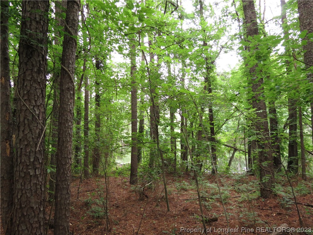 1902 Rice Road Sanford, NC 27330 - Photo 25 of 31 Gallery Image 25