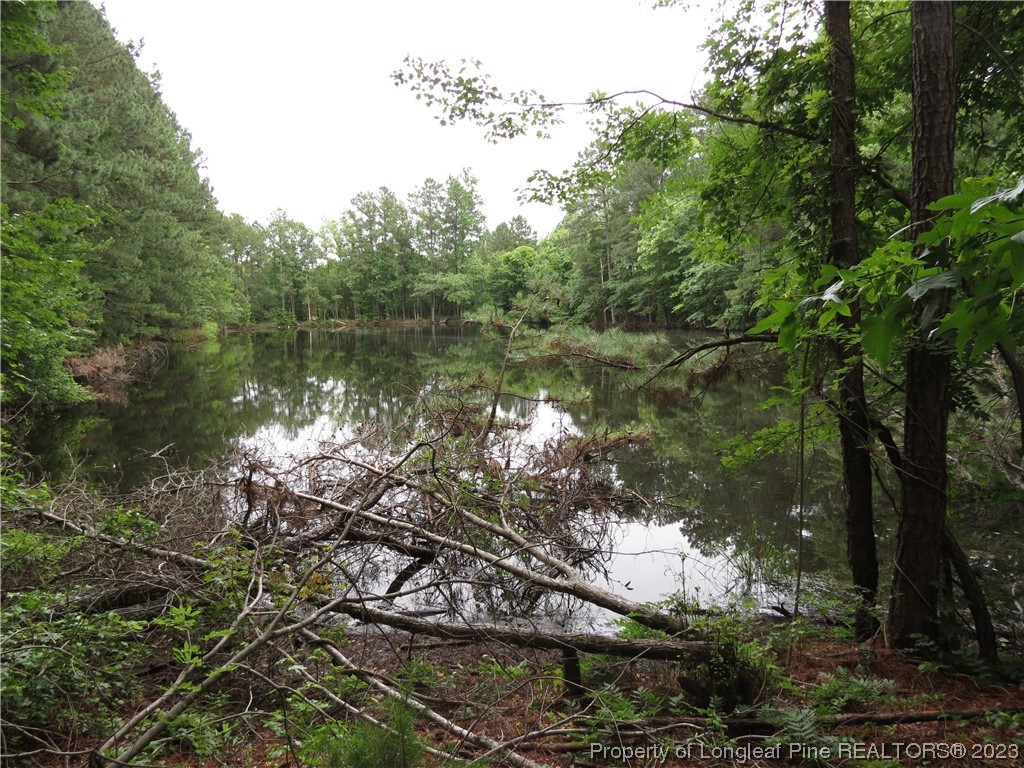 1902 Rice Road Sanford, NC 27330 - Photo 28 of 31 Gallery Image 28