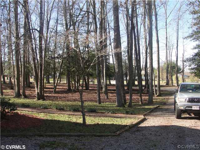 1311 Grapevine Road Sandston, VA 23150 - Photo 10 of 12 Land/Lot - Wooded front yard.