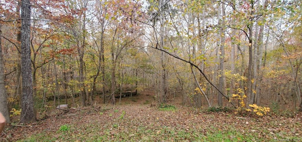 996 Willis Farm Road Clover, SC 29710 - Photo 16 of 29