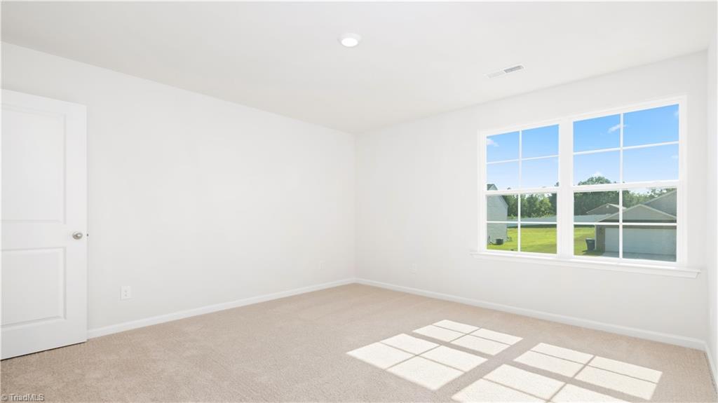 119 Red Leaf Drive King, NC 27021 - Photo 11 of 20 *photos are of model home and are for representational purposes only.