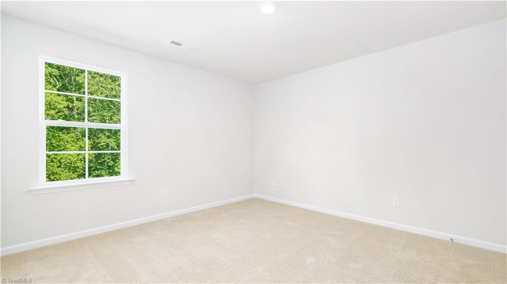 119 Red Leaf Drive King, NC 27021 - Photo 20 of 20 *photos are of model home and are for representational purposes only.