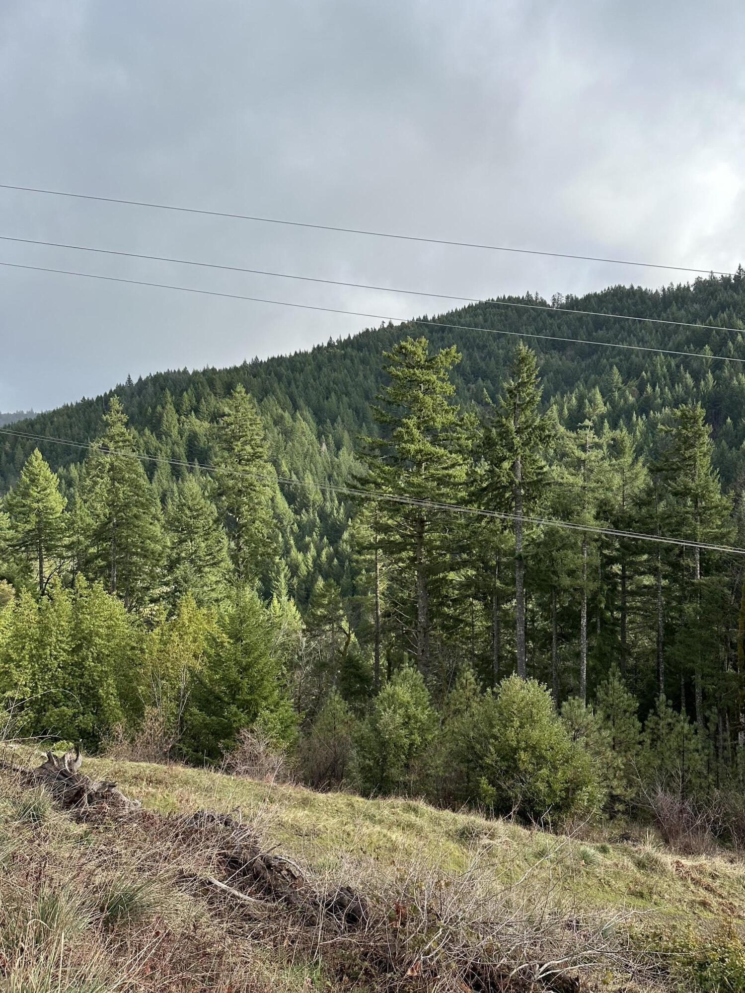 2 Hwy 299 Road Blue Lake, CA 95525 - Photo 4 of 4