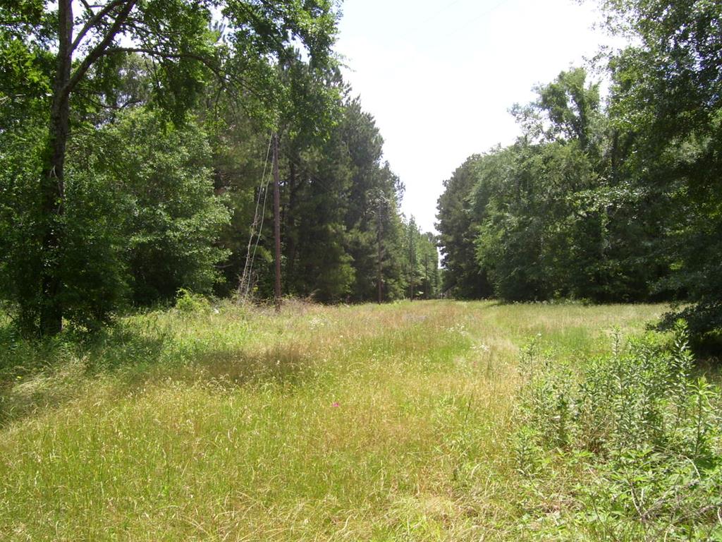 164 Day Road Elkhart, TX 75839 - Photo 1 of 1