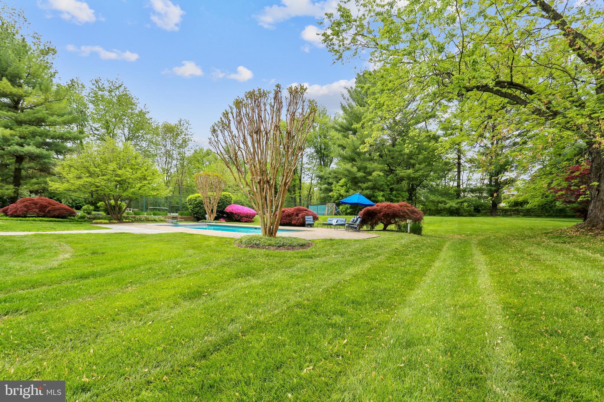 12308 Beall Spring Road Potomac, MD 20854 - Photo 16 of 25 Level backyard